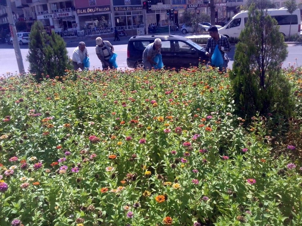 Kilis’te çiçeklendirme çalışmaları 
