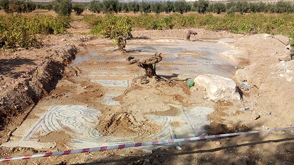 Kilis'te tarla sürülürken bulunan mozaikler korumaya alındı