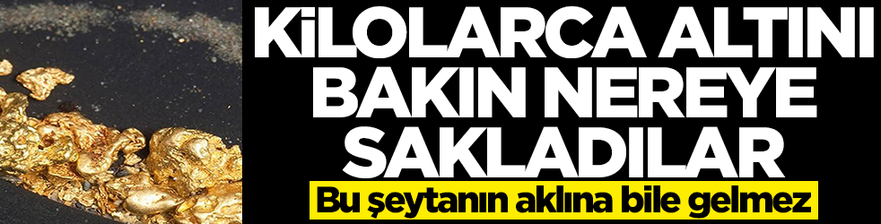 Kilolarca altını bakın nasıl sakladılar! Bu şeytanın aklına bile gelmez