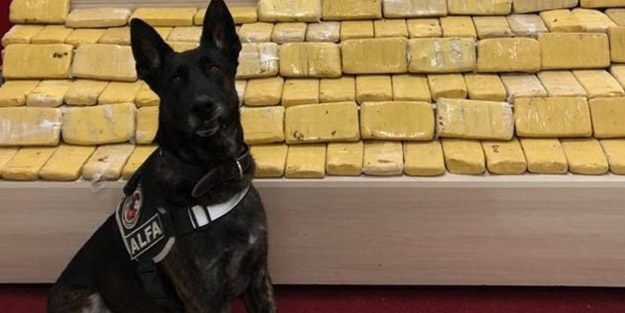 Kilolarca ele geçirildi! Tacirlerin yeni oyunu pul biber