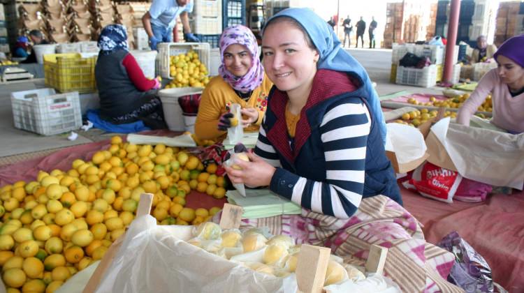 Kilosu 1 lira 80 kuruşa kadar düştü