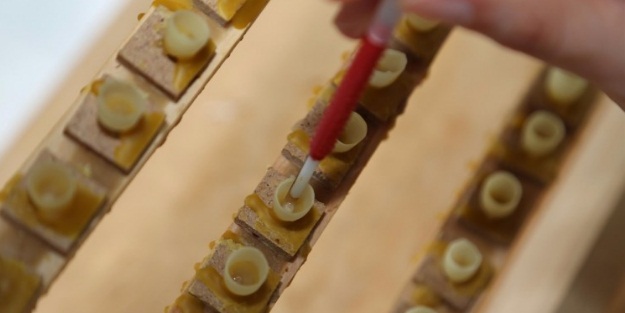 Kilosu 10 bin liradan satılıyor