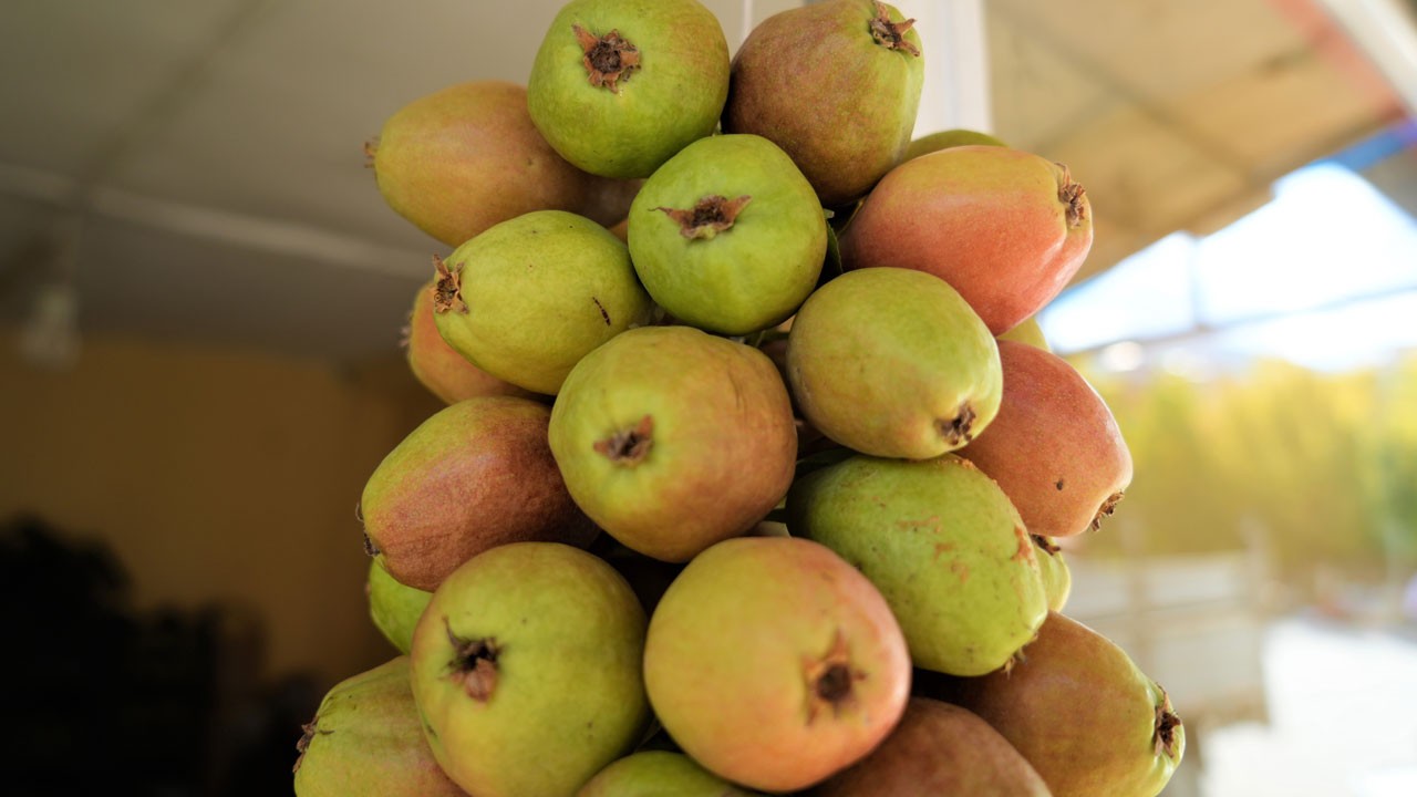 Kilosu 100 TL! Tam 3 ay tazeliğini koruyor