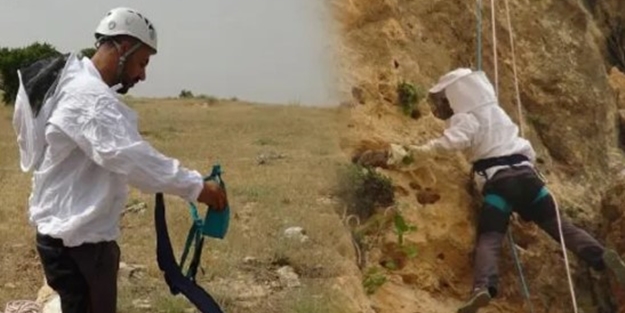 Kilosu 1000 TL! Kayalıklardan topluyor