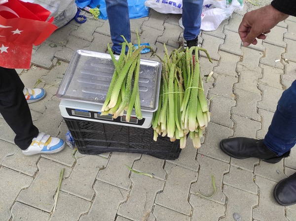 Kilosu 150 TL! Kapış kapış gidiyor