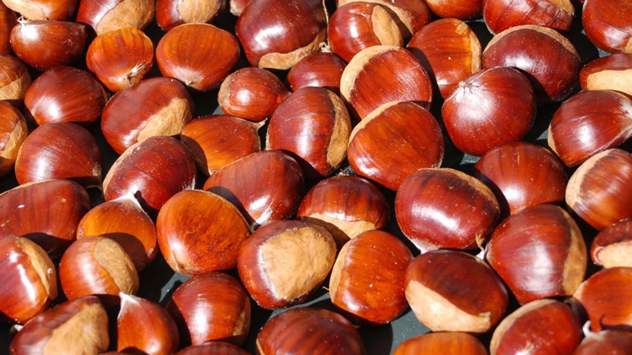 Kilosu 200 TL'den satılıyor! Doğanın kalp ilacı: Vücuda mutluluk veriyor