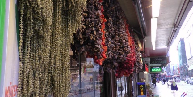 Kilosu 200 TL'yi buldu!