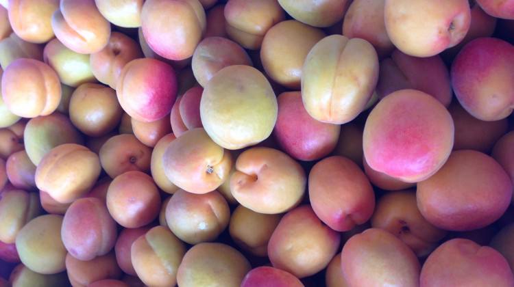 Kilosu 30-50 liradan satışa çıkıyor