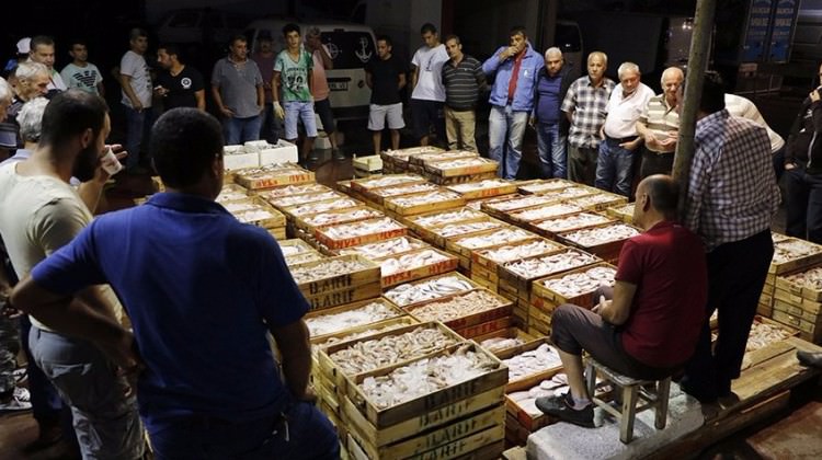 Kilosu 350 TL'den 30 Tl'ye düştü