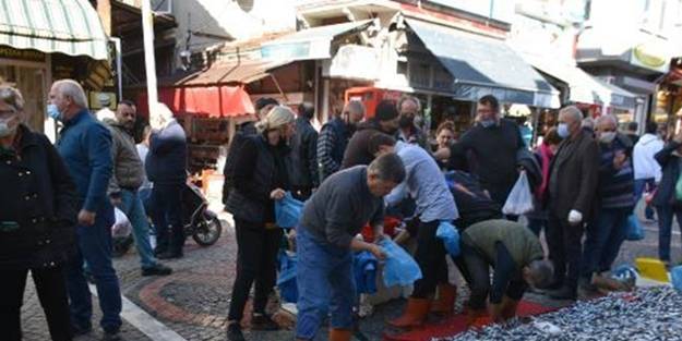 Kilosu 40 liradan 5 liraya düşünce kasa kasa aldılar