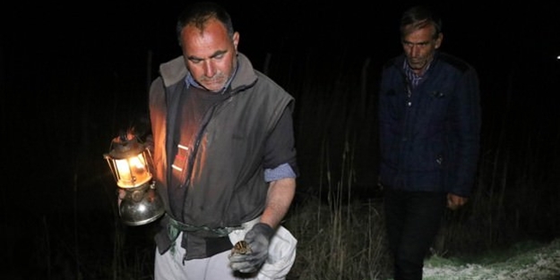 Kilosu 45 TL! Gece gaz lambalarıyla arıyorlar