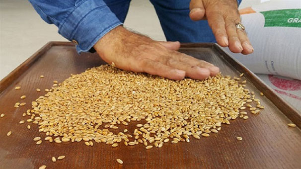 Kilosu 5 liradan tezgahta