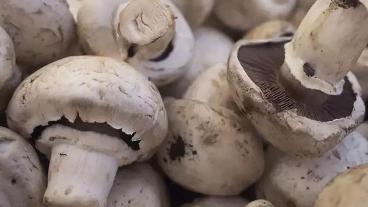 Kilosu 54 TL! Tam Kalp sağlığına destek oluyor! Protein, Potasyum, demir, B-D vitamini içeriyor!