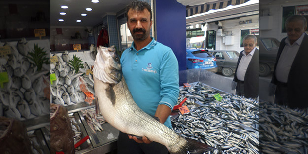 Kilosu 60 lira! Ağına 10 kiloluk levrek takıldı