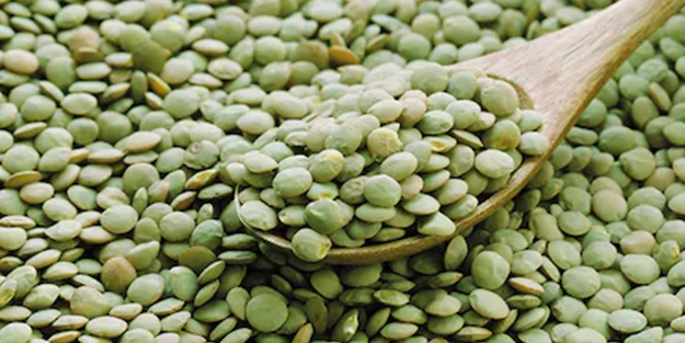 Kilosu 70-80 liraları görmüştü! Yeşil mercimekle ilgili kritik karar alındı