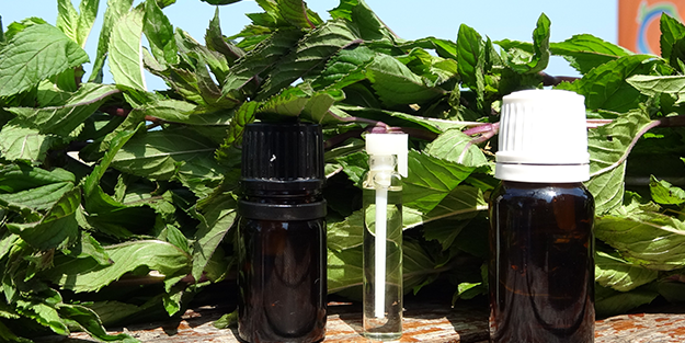 Kilosu adeta cep yakıyor! ‘Almanlara Rakip Olduk Geliyoruz’ Diyorlar