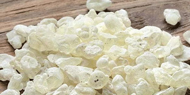 Kilosu bin 100 lira birçok kullanım alanı var… Çiftçinin yeni gelir kapısı oldu!