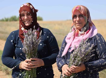 Kim demiş gelin-görümce geçinemez diye? Sırt sırta verip bu işe başladılar!