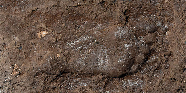 Kimin ayak izi olduğuna inanamadılar