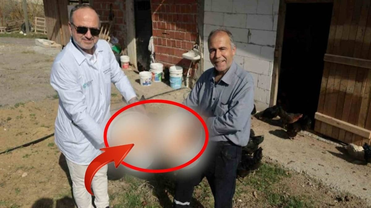 Kimse başaracaklarına inanmamıştı! Yaptıklarını duyan şok oluyor! Eşek yüküyle para getiriyor