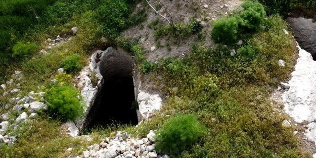 Kimse fark etmemişti: Tunceli'de ilk kez görüntülendi!