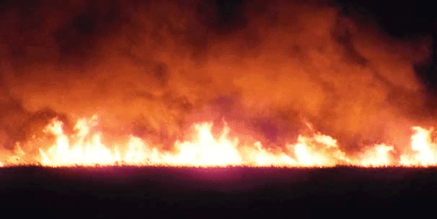 Kimse müdahale edemiyor… Cayır Cayır yanıyor!