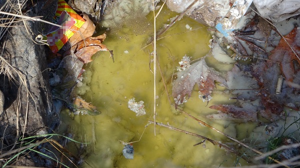 Kimse ne olduğunu anlayamadı! Mahalleyi ayağa kaldıran koku