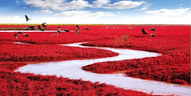 Kimsenin bilmediği dünyadaki harika yerler! Buralara giden dönmek istemiyor