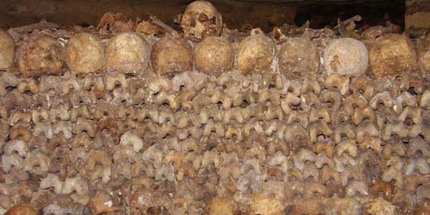 Kimsenin girmeye cesaret edemediği yer! Korkunç görüntüler