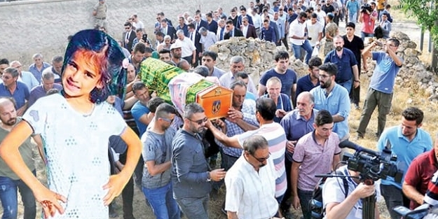 Kimyasal hadım geliyor