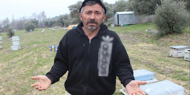 Kinlerini arılardan çıkardılar!