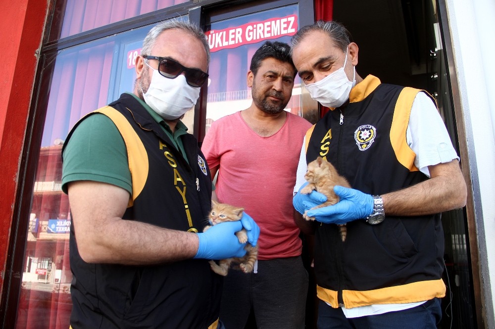 Kıraathanede mahsur kalan kedi ve 2 yavrusu kurtarıldı 