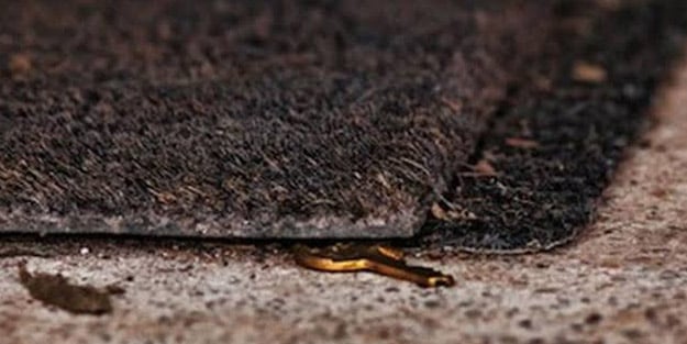 Kiracıdan ev sahibine büyük vurgun