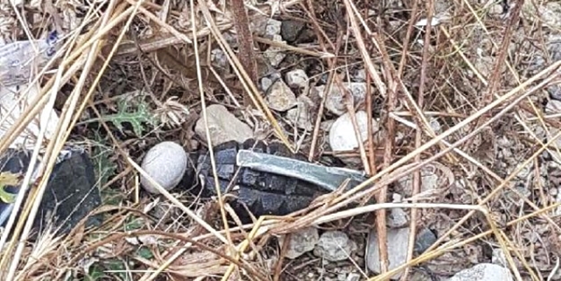 Kiraz bahçesinde öyle bir şey bulundu ki...