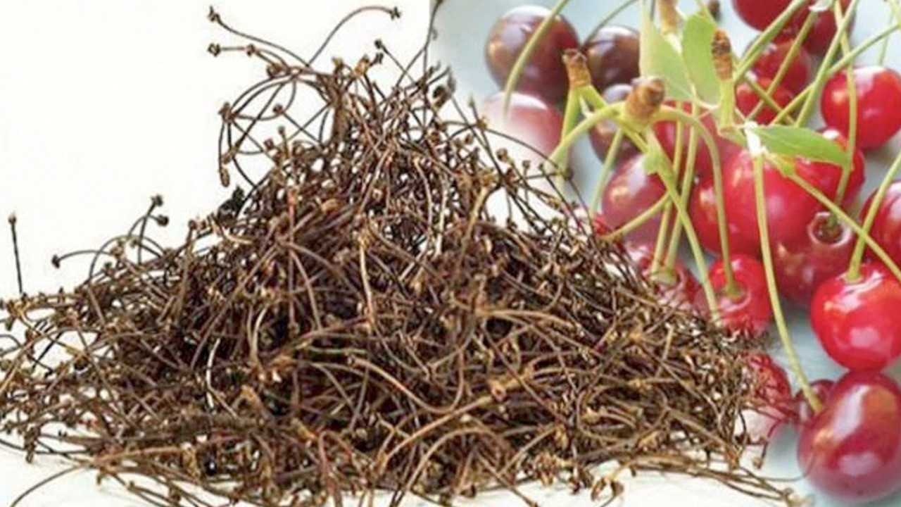  Kiraz sapı çayı faydaları nelerdir? Kiraz sapı çayı tarifleri! A, C ve E vitamini dolu