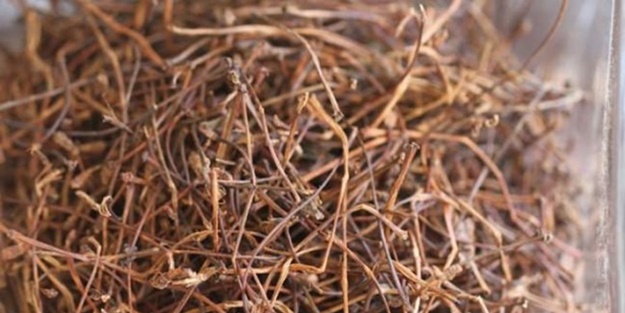 Kiraz sapını sakın atmayın! Öyle faydaları var ki...