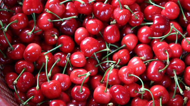 Kirazın fiyatı 150 liradan 5 liraya kadar indi