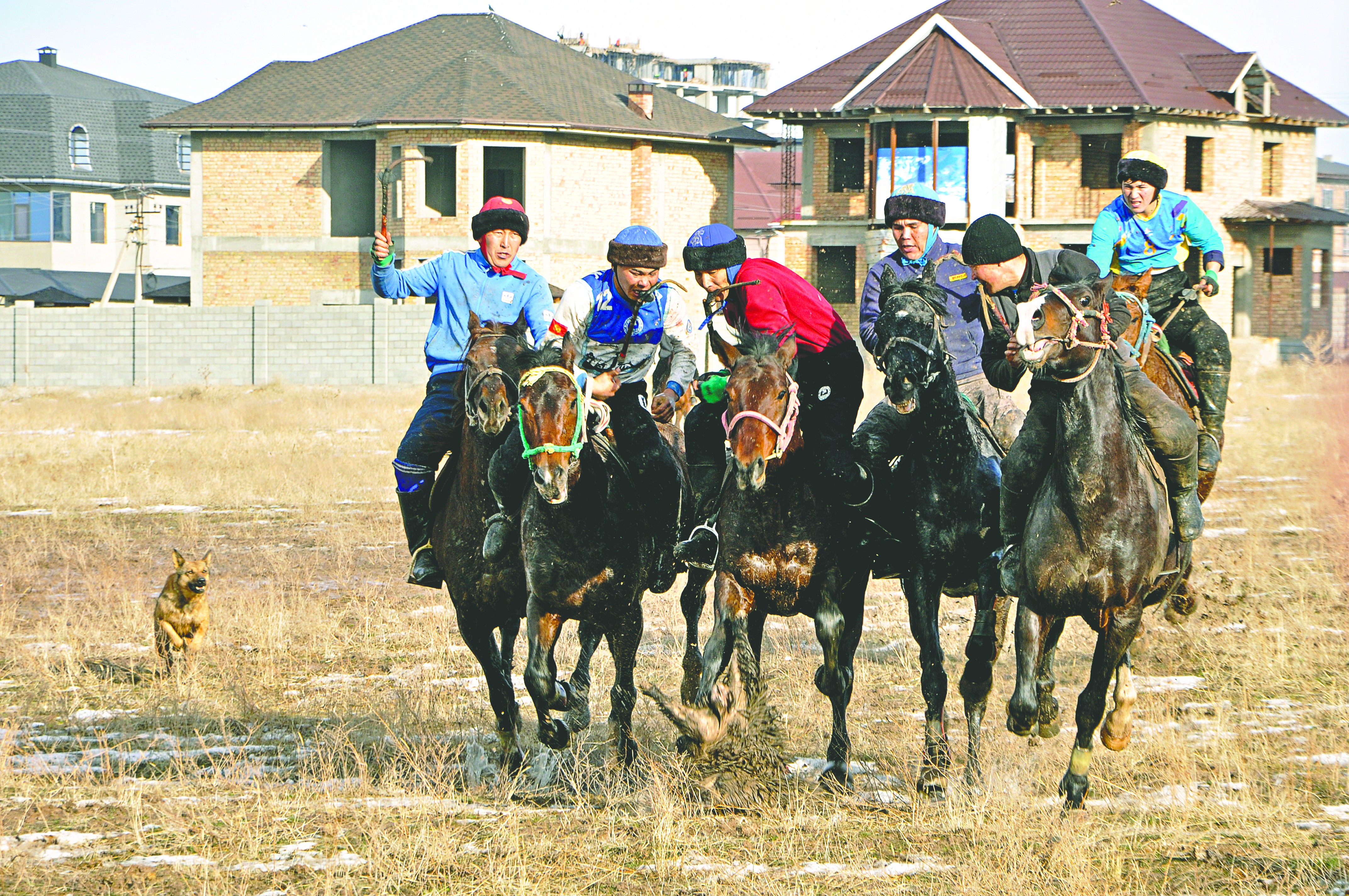 Kırgızların atlı spor tutkusu: Kökbörü