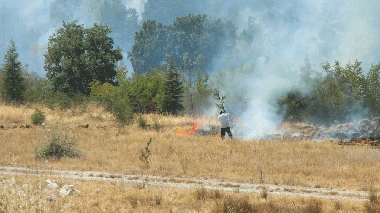 Kırıkkale'de anızlık alanda çıkan yangın ormana sıçradı!