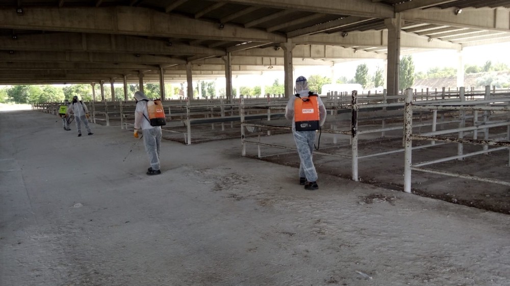 Kırıkkale’de hayvan pazarı yeniden açılıyor 