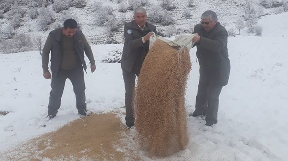 Kırıkkale’de hayvanlar aç kalmasın diye doğaya yem bırakıldı 