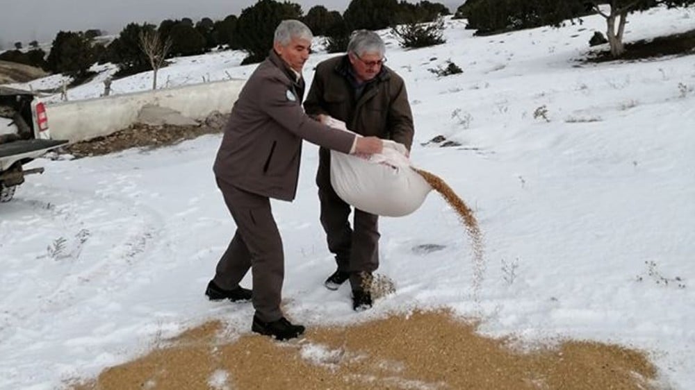 Kırıkkale’de hayvanlar için doğaya yem bırakıldı 