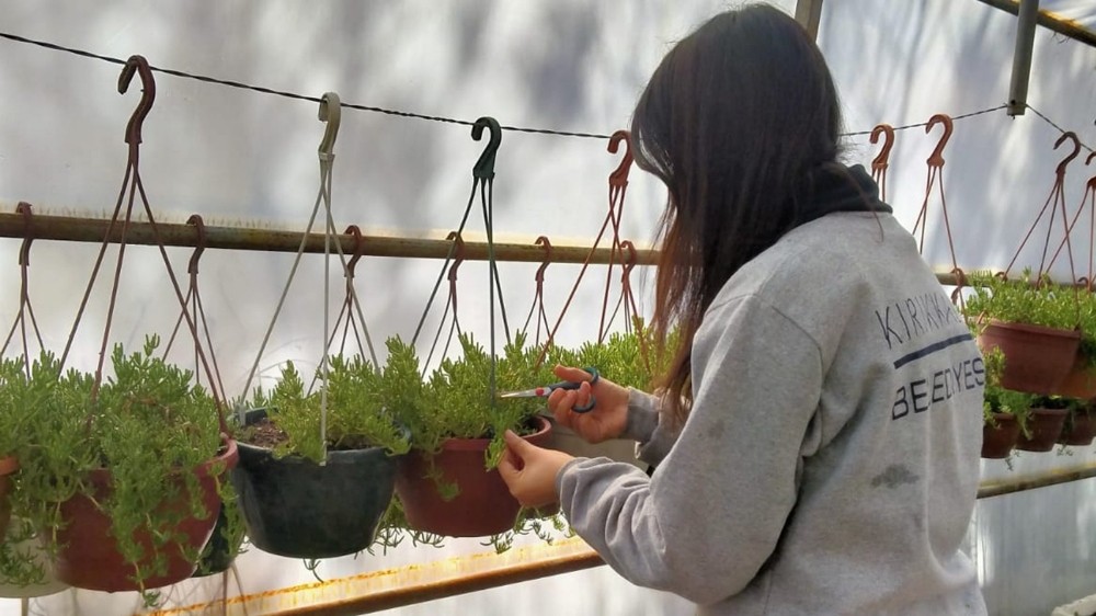 Kırıkkale’de park ve yeşil alanlarda yaz bakımı 