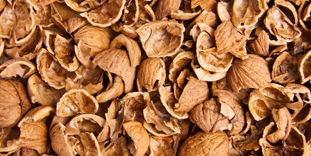 Kırıldıktan sonra atılan ceviz kabuğu meğer bu işe yarıyormuş! Mikroplara savaş açıyor