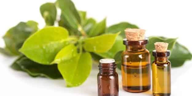 Kırışıklık giderici krem: Yaşlanma karşıtı maske nasıl yapılır?