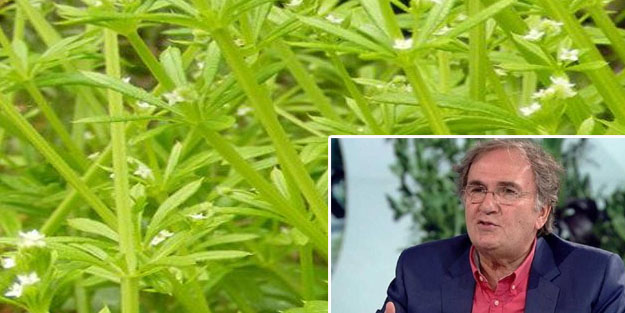  İbrahim Saraçoğlu'ndan... Kırışıklıkları dert etmeyin! Yoğurt otu! Her on kişiden biri kullanıyor! Gençlik aşısı