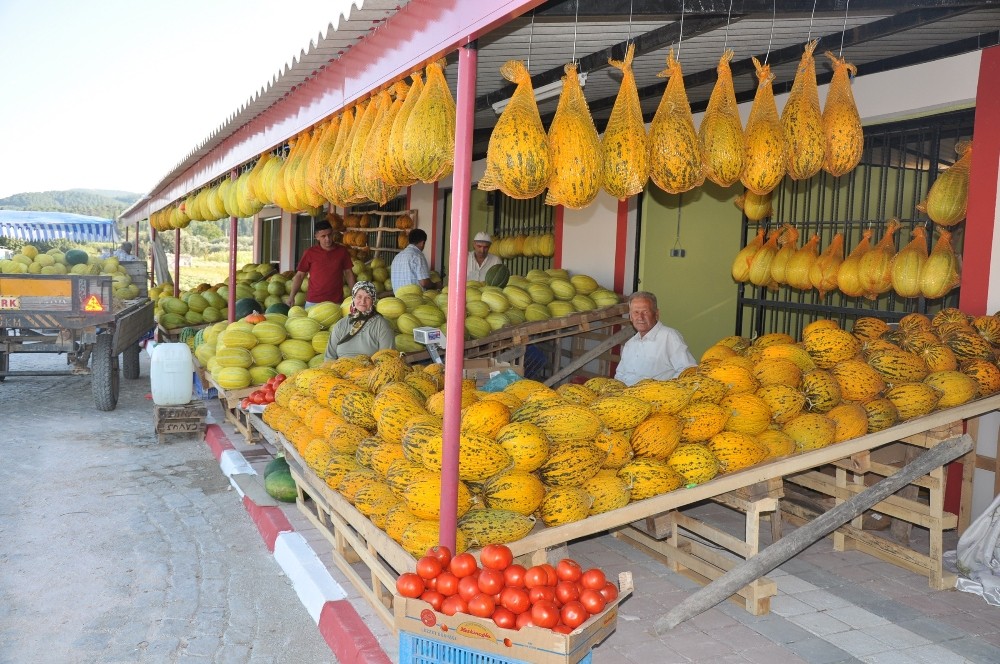 Kırkağaç kavunu, AB’den coğrafi işaret almaya hazırlanıyor 