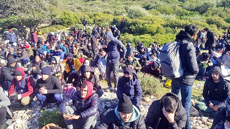 Kırklareli’de 489 kaçak göçmen yakalandı