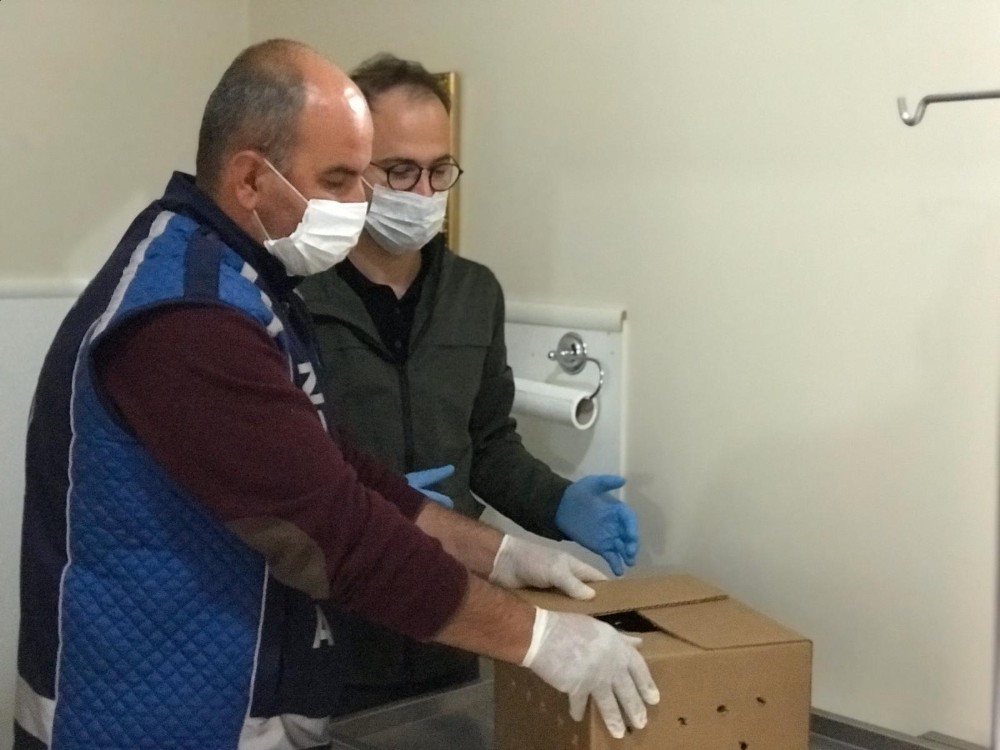 Kırklareli’de duygulandıran görüntü 