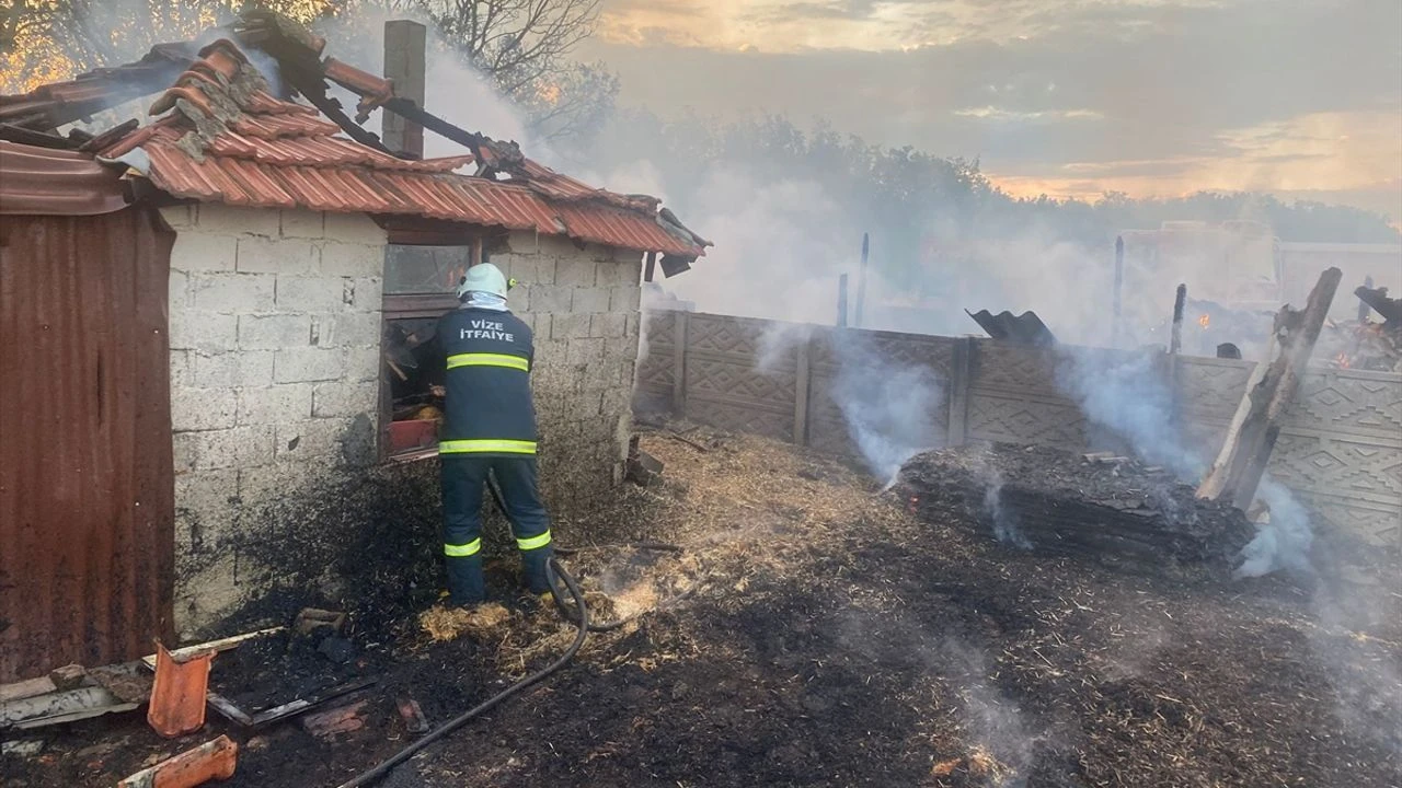 Kırklareli'de feci yangın: 600 tanesi yandı!